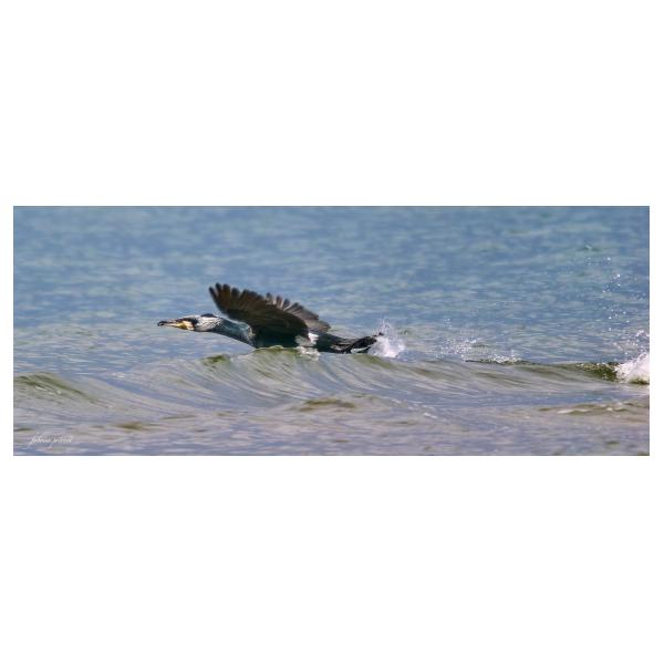 PHOTO84, CLUB, 84 , LUBERON